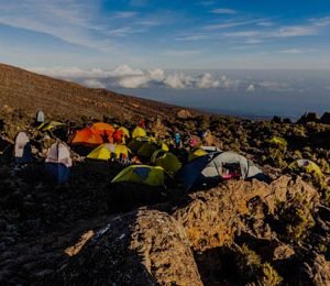 Swett_hem_Kilimanjaro_400x260