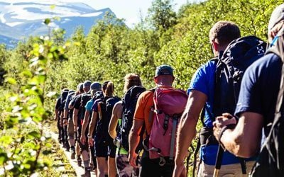 Livesändningarna är kostnadsfria.