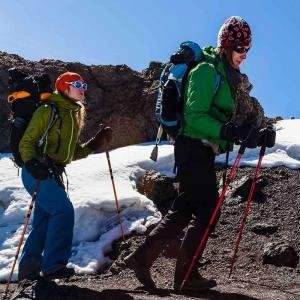 Vandring på hög höjd uppepå Kilimanjaro - Afrikas högsta berg