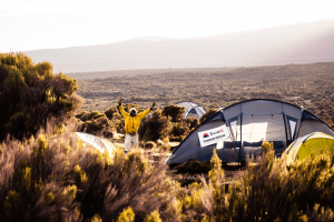 Resor till Kilimanjaro