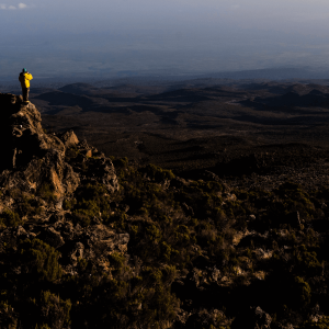 Swett_Kilimajaro_bottom_2000x900 (1)