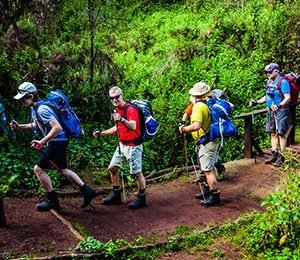 Lyckliga turister på en äventyrlig vandringstur | Swett