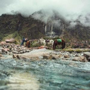 Swett besöker Lucilla och hennes hästar på Inkaleden