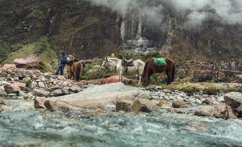 Hästar på Inkaleden