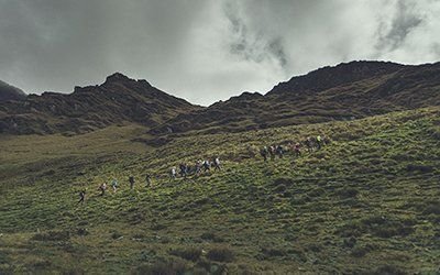 Swett tar dig på en rutt bortom de vanliga lederna på Inkaleden