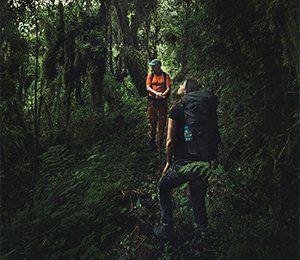 Vi vandrar genom varierande miljöer längst Inkaleden, bland annat blomstrande regnskog