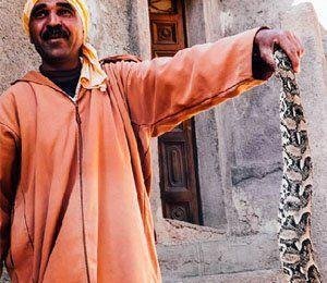 Swett_Atlasbergen_Day | Swett