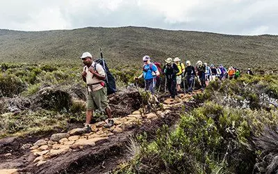 Med Swett vandrar du en unik och ostörd led till Kilimanjaro