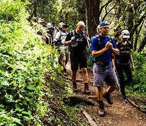 Vi vandrar genom fyra klimatzoner på vägen mot Kilimanjaro, bland annat tät och fuktig djungel