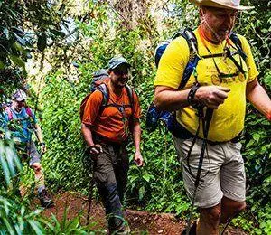 Vandra genom fantastiska miljöer med Swett på vägen mot Kilimanjaro