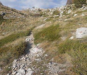 Vi vandrar bortom den etablerade rutten för en unik upplevelse i Kroatien