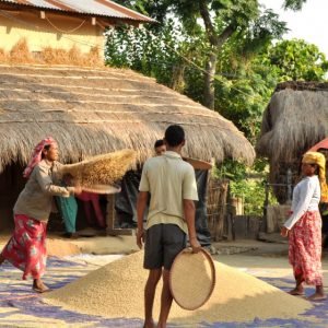 Förläng din vandringsresa med safari i Chitwan