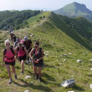 Vandringsresor | Swett