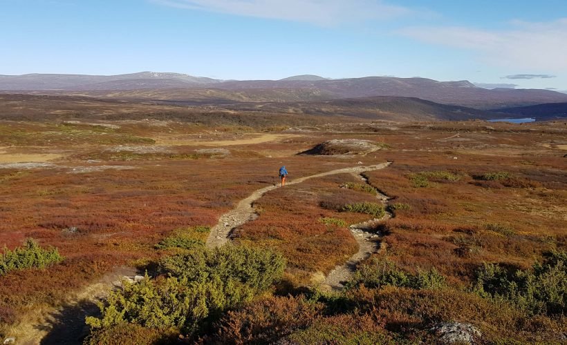 Jämtlandsfjällen utsikt Jämtlandsfjällen utsikt