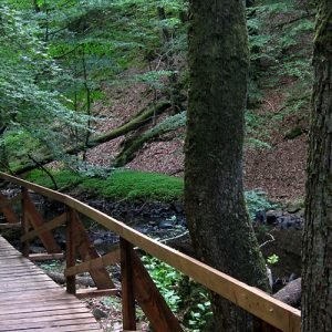 Vandringsled Skäralid